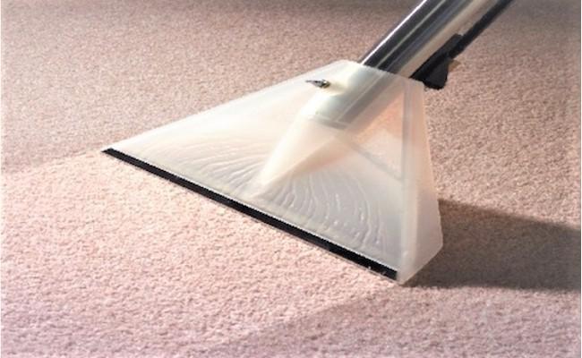 Empresa de higienização de carpete