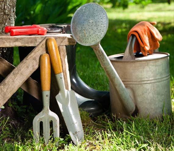 Serviços de jardinagem osasco