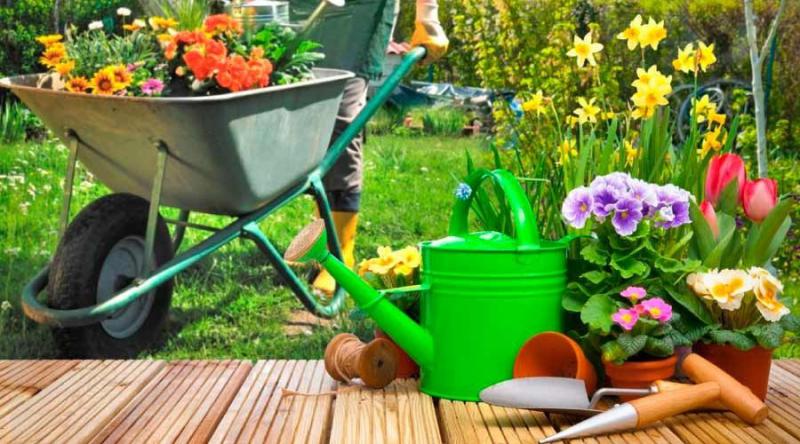 Terceirização de serviços jardinagem